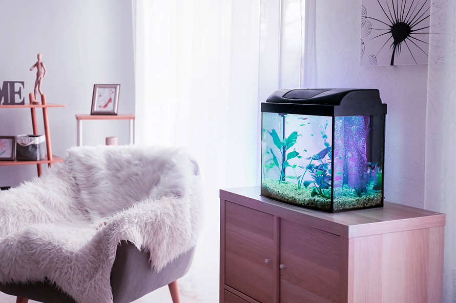 Управляем освещением аквариума: вручную из любой точки мира или автоматически
